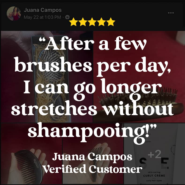 No Shampoo Hair Brush