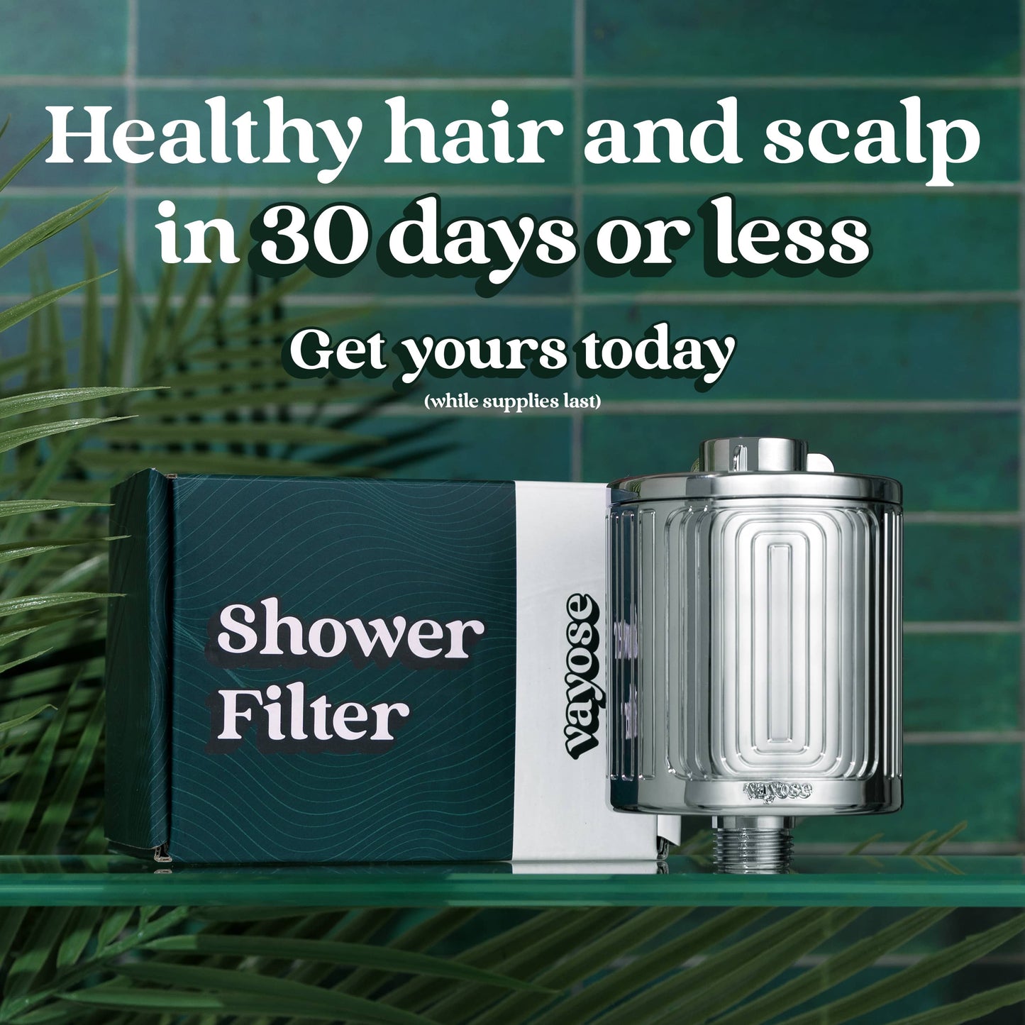 Shower Filter