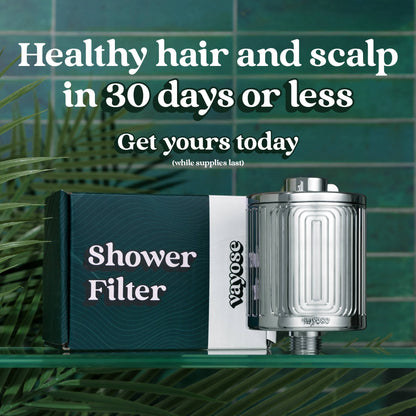 Shower Filter