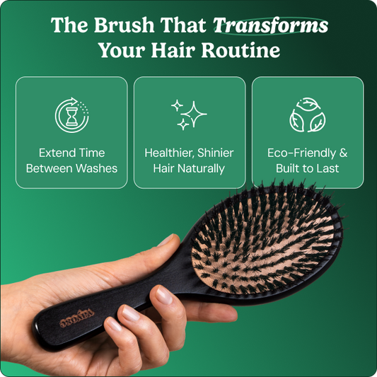 No Shampoo Hair Brush