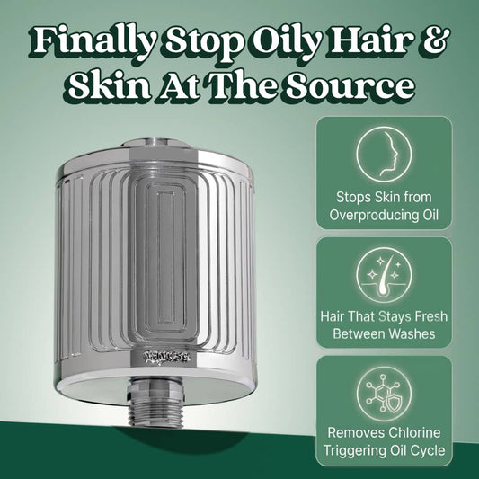Shower Filter